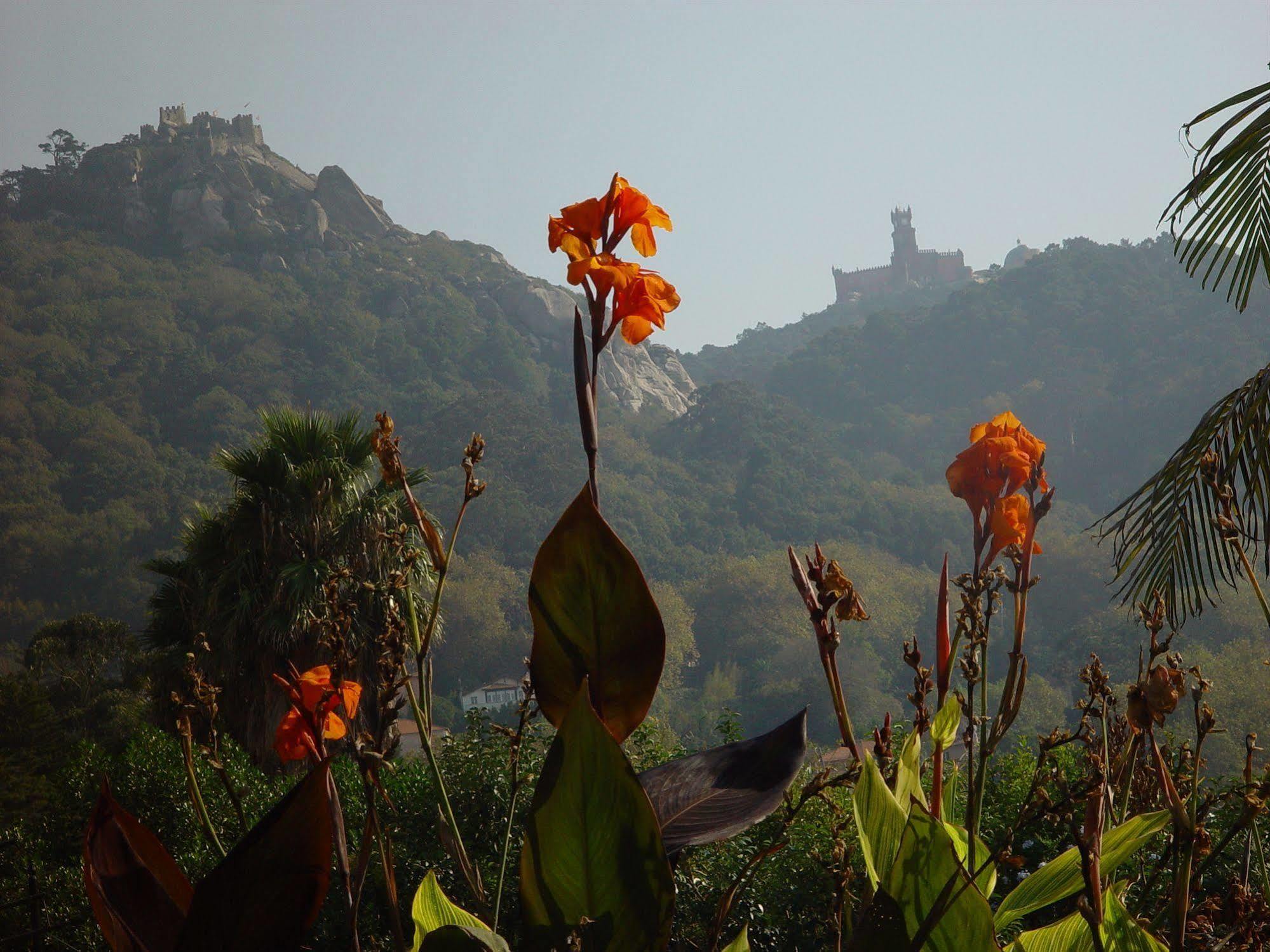 Casa Do Valle Sintra Bagian luar foto